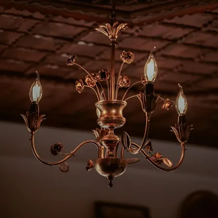 Ansel 베라트